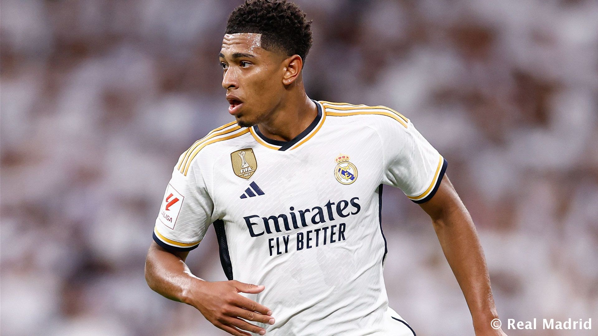 率与半场梳 率与半场梳